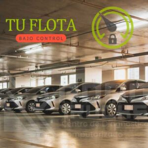 Gestión y Ajuste de Limitadores de Velocidad (ON)